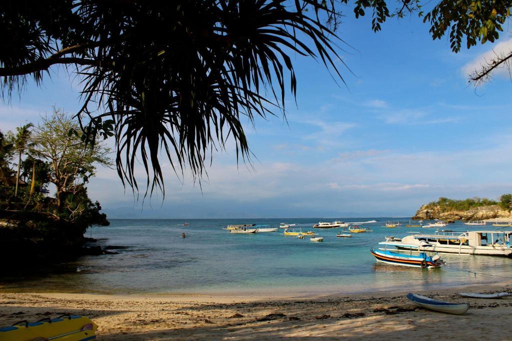 Molamola House Hotel Nusa Lembongan  Room photo